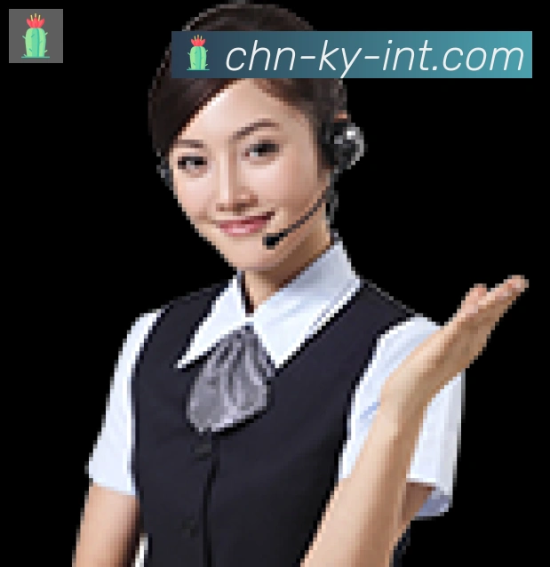 奖项证书